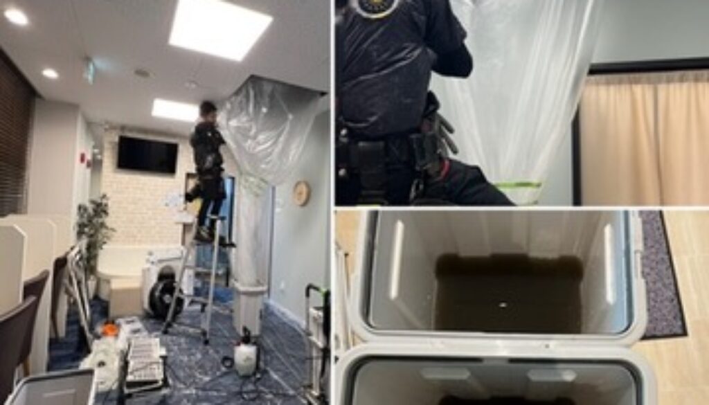 FA3DC994-1466-45AA-857E-D5582448A53E_4_5005_c